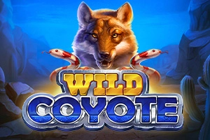 00476 wild coyote